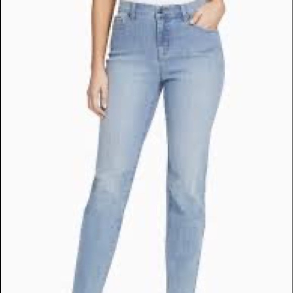 Gloria Vanderbilt Petite Amanda High Rise Straight Jeans - Picture 1 of 9